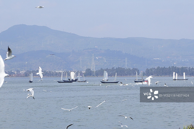 云南民族大观园图片素材