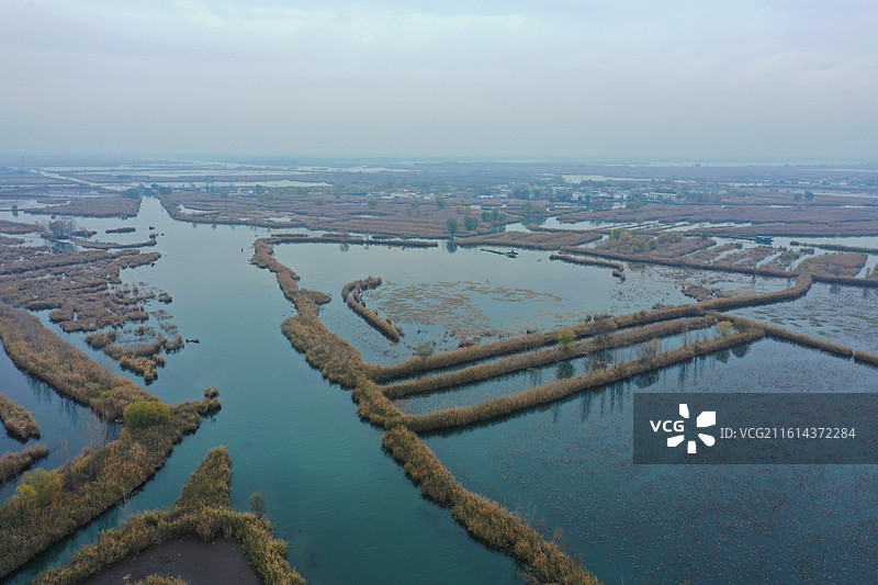 碧水连天映霞光，野鸭掠舞芦花黄  俯身临岸观舟远，银杏红叶风里扬  千岛万湖织洋淀，生态画卷韵悠长图片素材