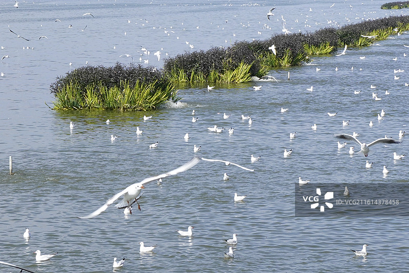 云南民族大观园图片素材