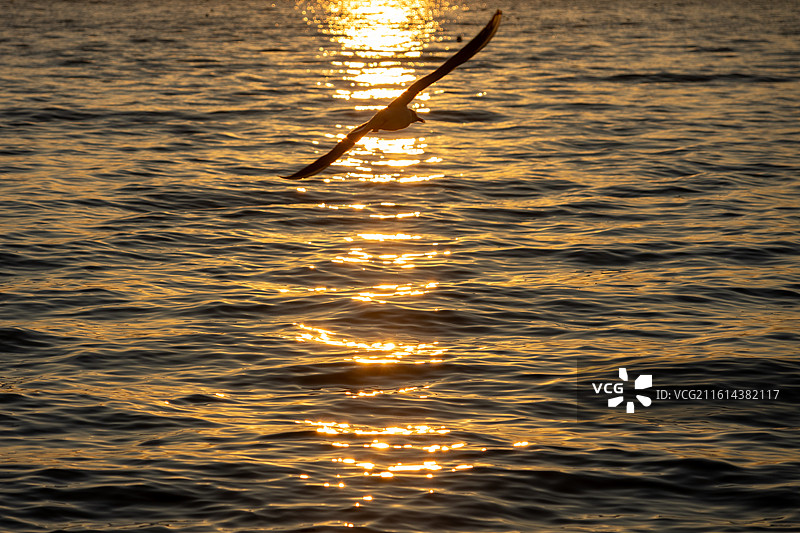 大理洱海龙龛码头日出图片素材