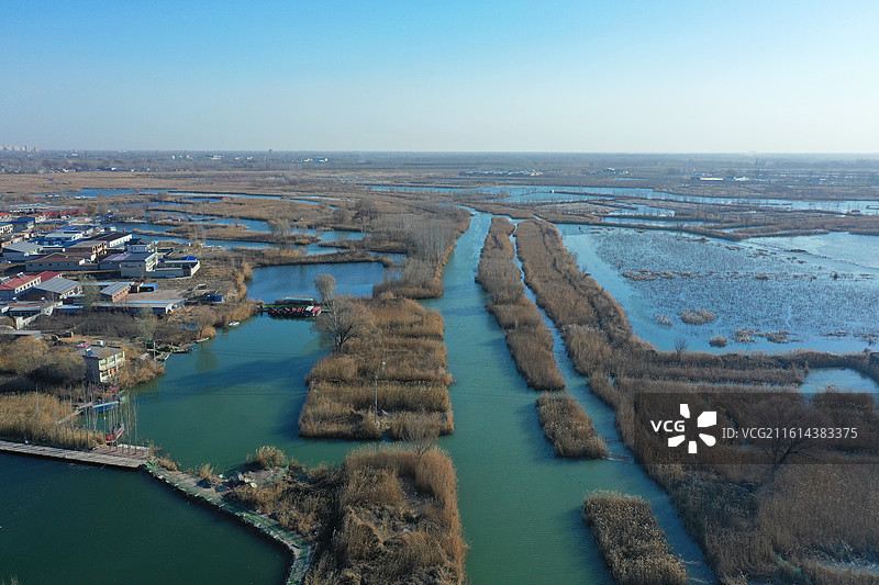 碧水连天映霞光，野鸭掠舞芦花黄  俯身临岸观舟远，银杏红叶风里扬  千岛万湖织洋淀，生态画卷韵悠长图片素材