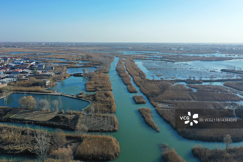 碧水连天映霞光，野鸭掠舞芦花黄  俯身临岸观舟远，银杏红叶风里扬  千岛万湖织洋淀，生态画卷韵悠长图片素材