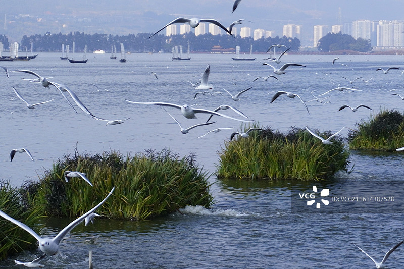 云南民族大观园图片素材