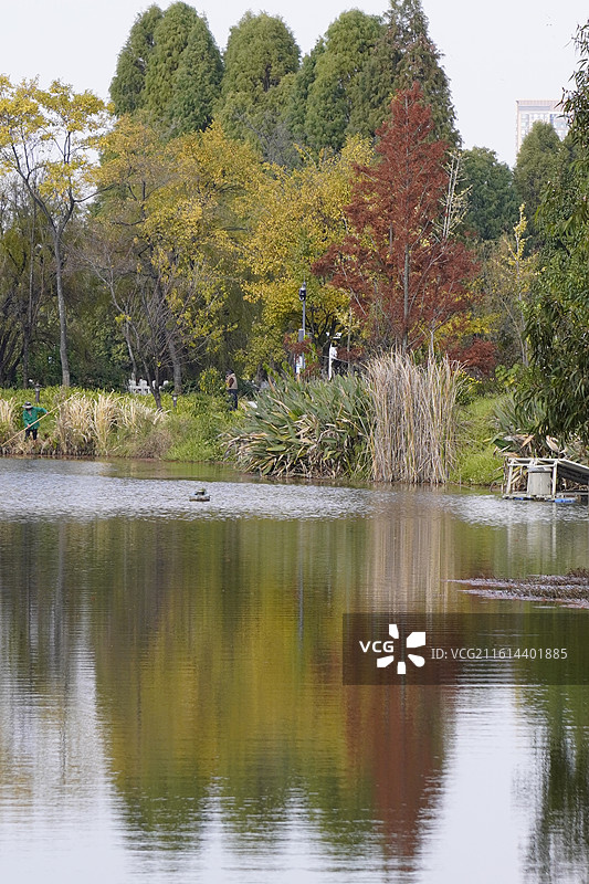 昆明大观园图片素材