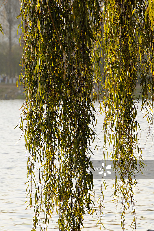昆明大观园图片素材