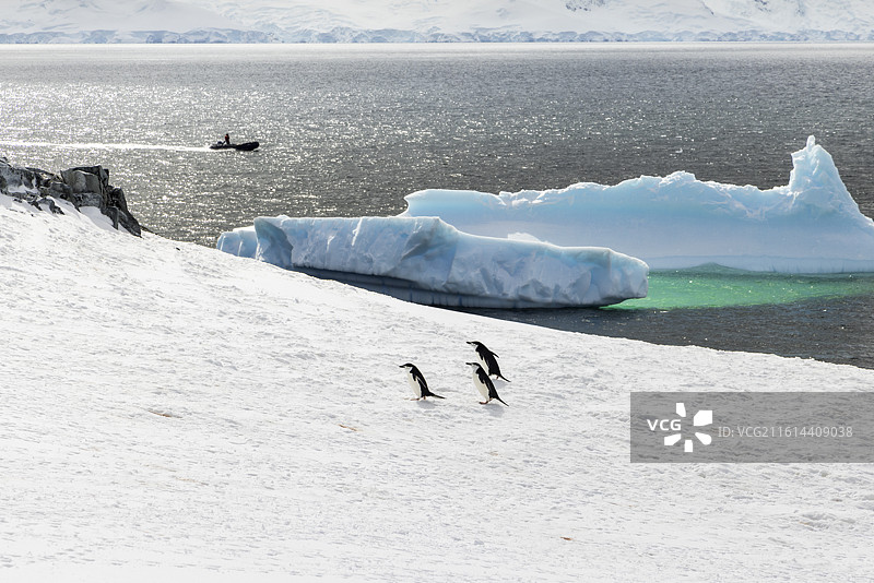 南极洲图片素材