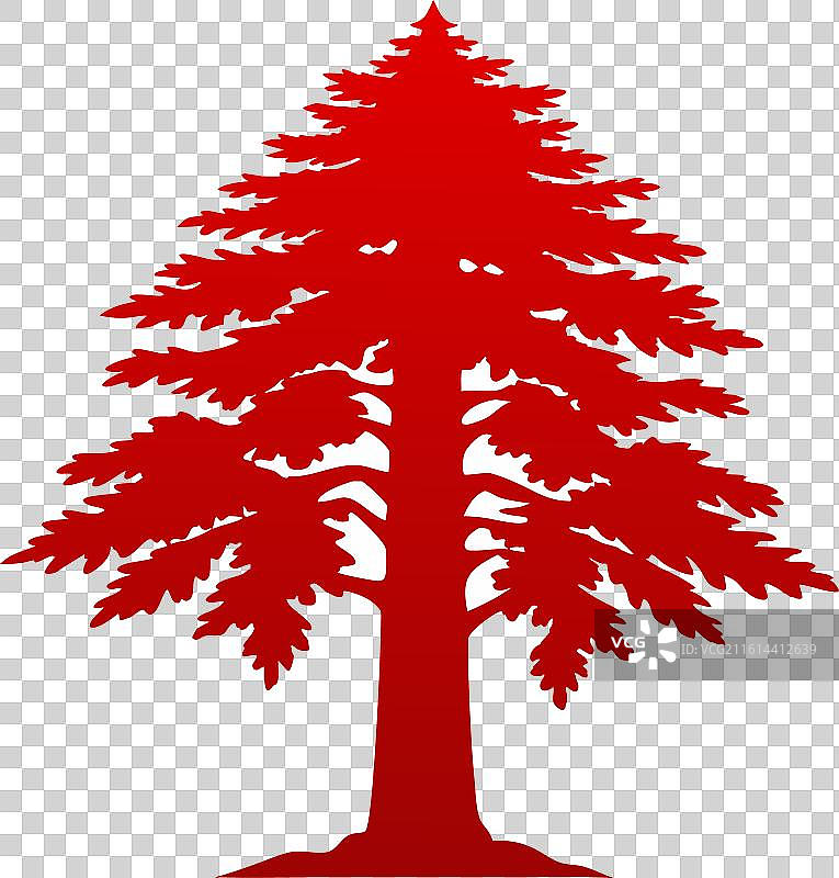 红杉树 干净的色彩图片素材