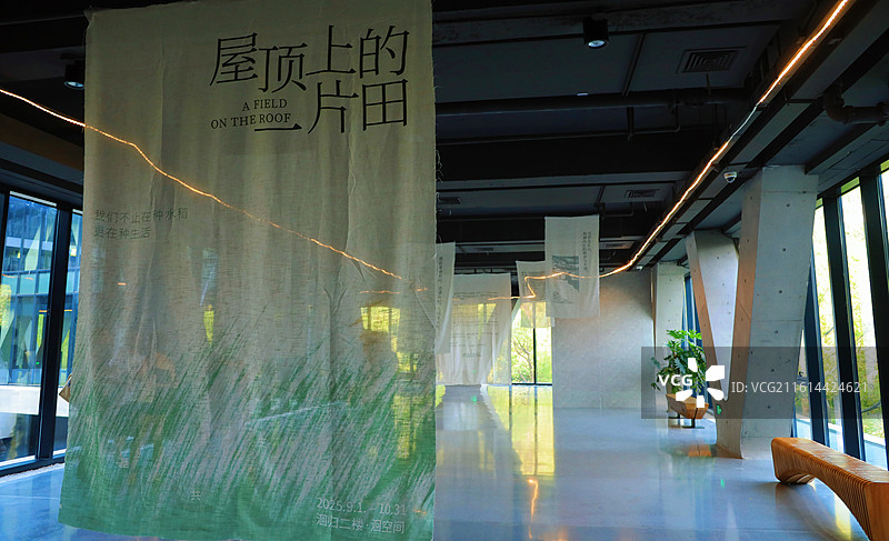 苏州洄归生态美学空间艺术建筑文艺图片素材