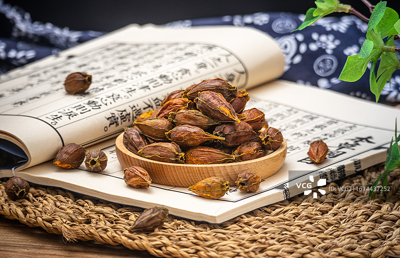 东方传统食品染色天然调料黄栀子干果图片素材