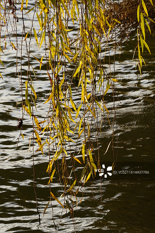 昆明大观园图片素材