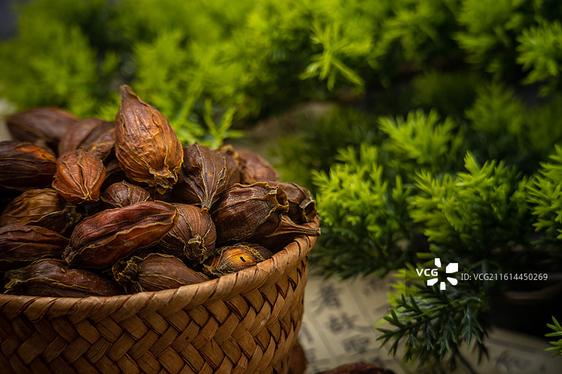 东方传统食品染色天然调料黄栀子干果图片素材
