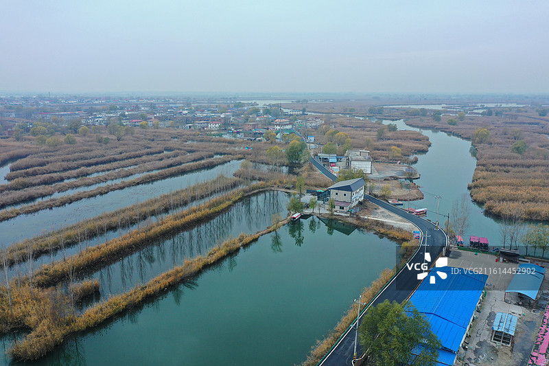 碧水连天映霞光，野鸭掠舞芦花黄  俯身临岸观舟远，银杏红叶风里扬  千岛万湖织洋淀，生态画卷韵悠长图片素材