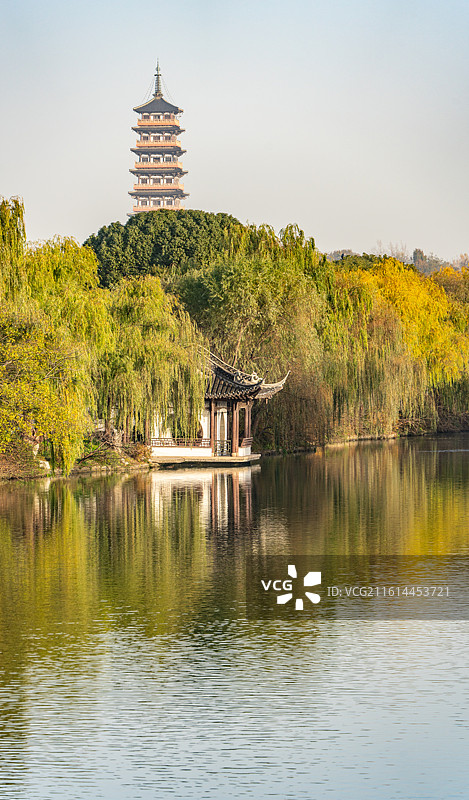 秋冬季节清晨无人的江苏扬州廋西湖风景区大明寺栖灵塔建筑倒影与湖中嬉戏觅食的黑天鹅图片素材