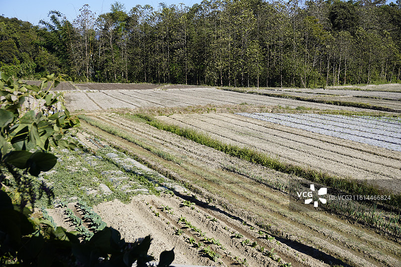 云南小景图片素材