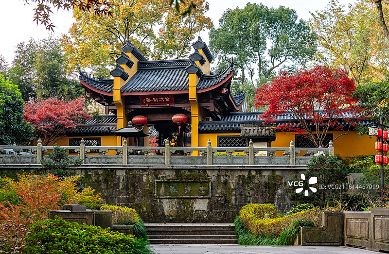 浙江杭州西湖灵隐永福禅寺红枫银杏枫叶红叶背景映衬中的最美寺院不二法门钱塘第一福地自然建筑景观图片素材