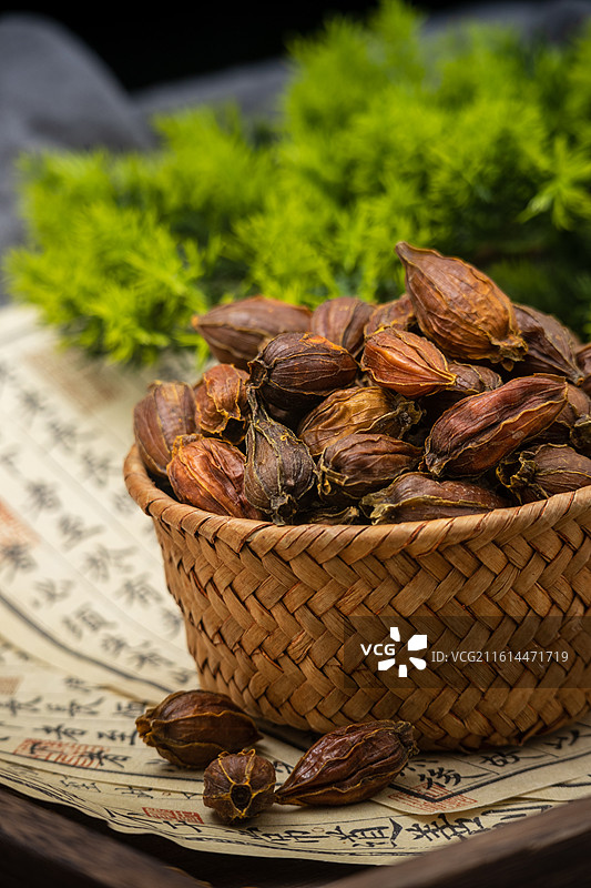 东方传统食品染色天然调料黄栀子干果图片素材