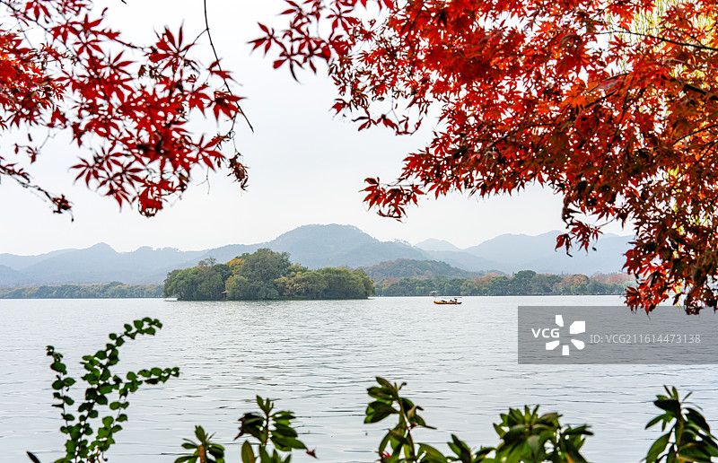 浙江杭州西湖平湖秋月平湖红叶红枫背景中的西湖游船雷峰塔西湖山水自然景观图片素材