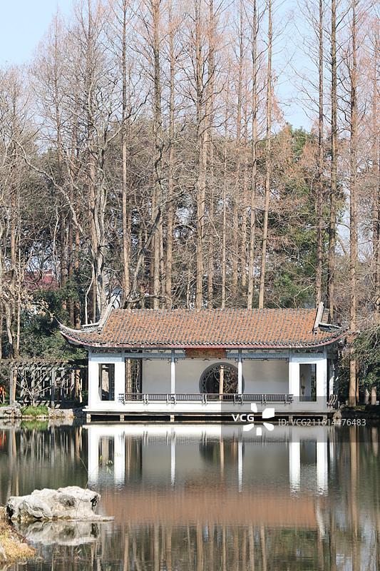 杭州植物园图片素材