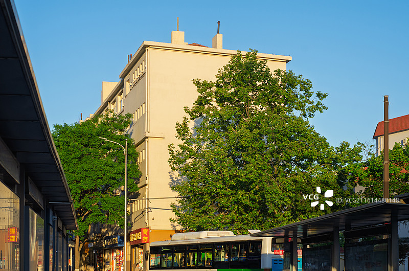 青岛栈桥街道旁的建筑与公交站场景图片素材