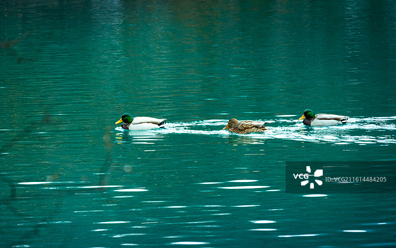 九寨沟图片素材