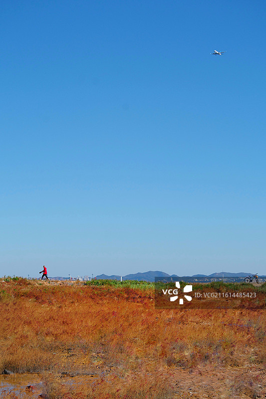 《飞机飞过梭鱼湾公园》大连梭鱼湾公园   处于飞机航道的大连梭鱼湾公园一景图片素材