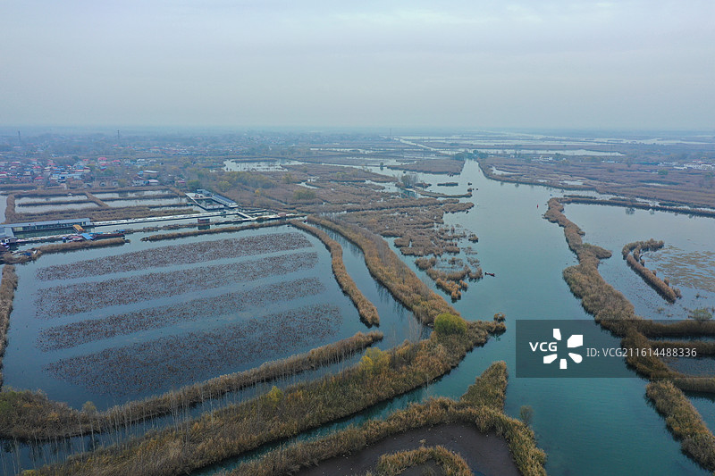 碧水连天映霞光，野鸭掠舞芦花黄  俯身临岸观舟远，银杏红叶风里扬  千岛万湖织洋淀，生态画卷韵悠长图片素材