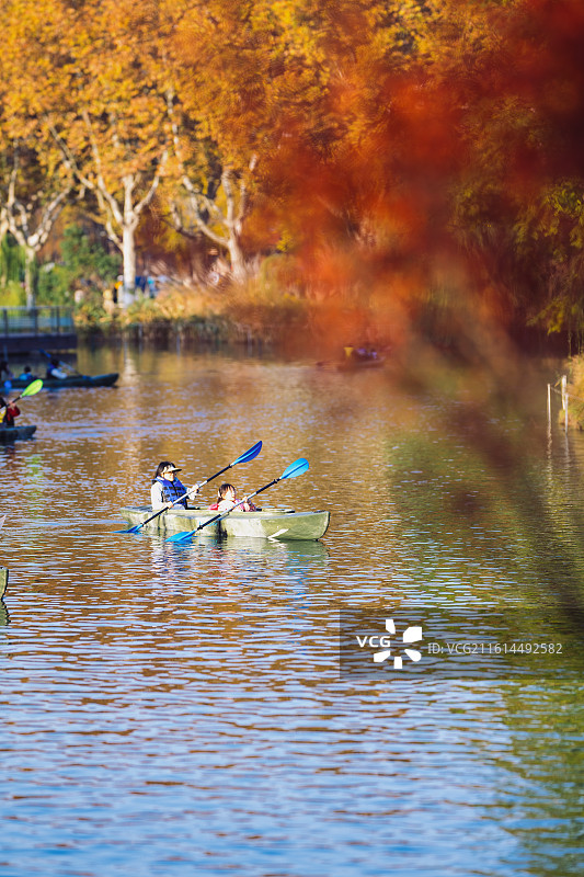 秋天湖边的树顶着天空图片素材