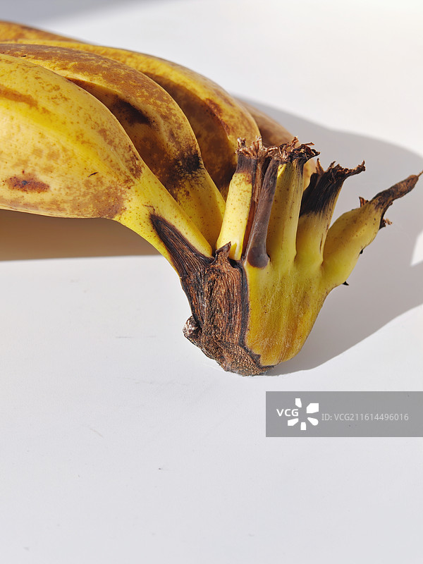 热带水果，香蕉，正在变质的香蕉，香蕉衰败腐烂的过程，坏香蕉，长满斑点的香蕉，变质，腐烂，熟透，衰老图片素材