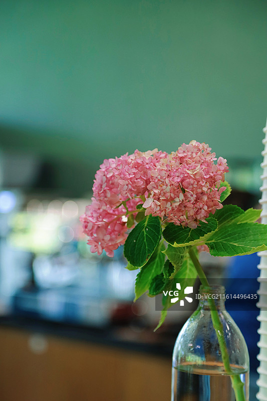 苏州洄归生态美学空间艺术建筑文艺图片素材