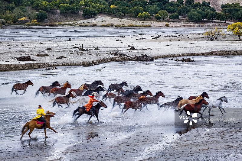 漠上奔马溅银花 ——内蒙古赤峰市克什克腾旗图片素材