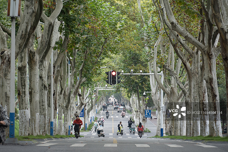 武汉各大景点美照长江古德寺博物馆大江大河图片素材