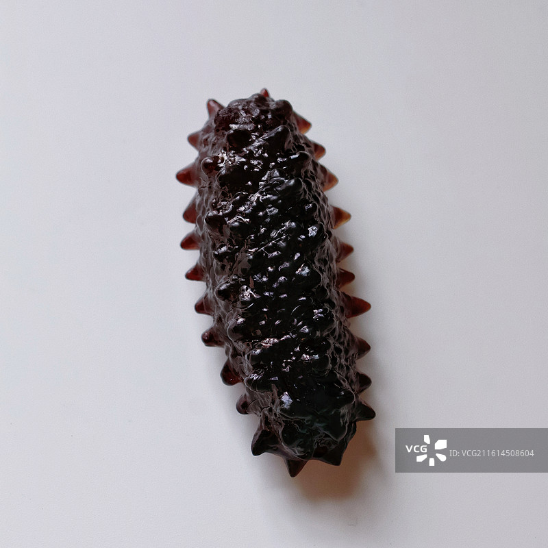 海参装饰品图片素材