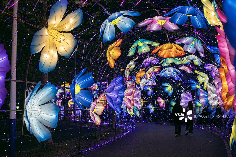 玉林园博园新春灯会图片素材