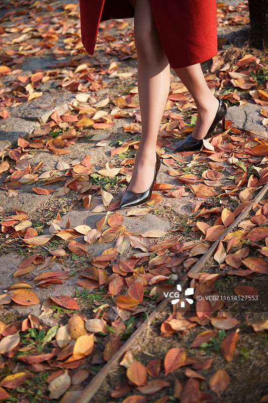 黑色高跟鞋在落叶里漫步图片素材