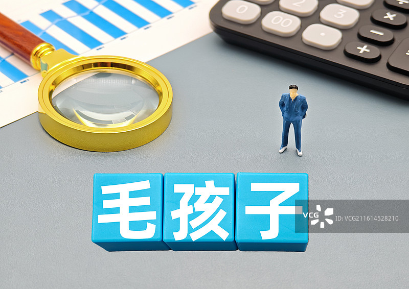 毛孩子图片素材