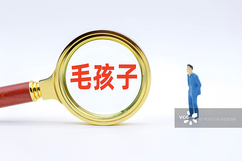 毛孩子图片素材