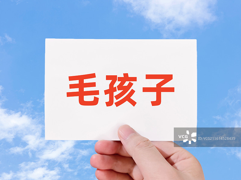 毛孩子图片素材