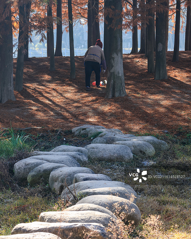 安徽屯溪三江省级湿地公园图片素材