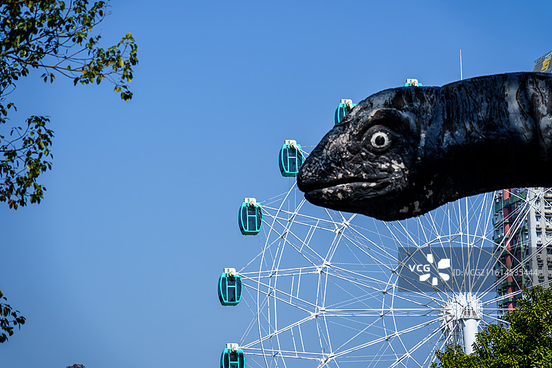 广州动物园的各种动物，汉墓盗洞图片素材