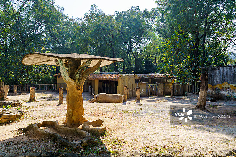 广州动物园的各种动物，汉墓盗洞图片素材