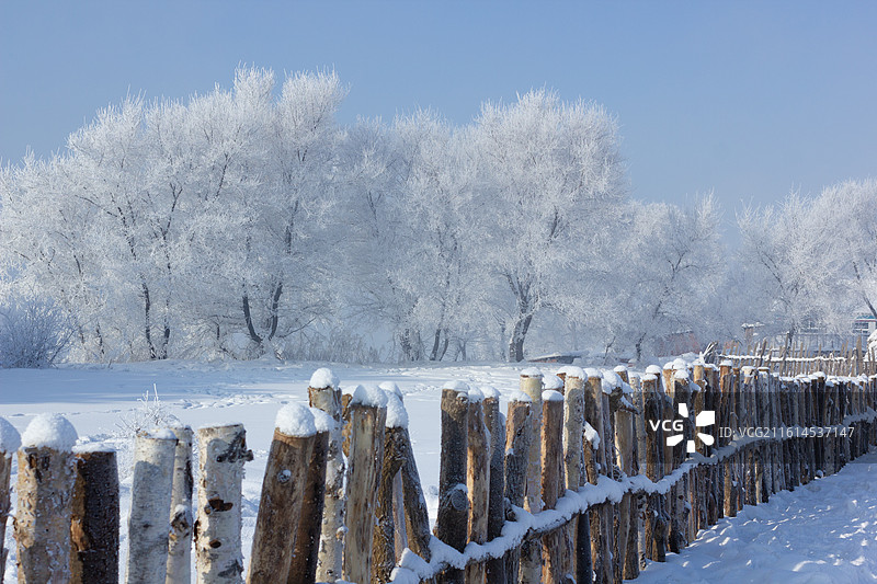 中国吉林雾凇岛树挂景观图片素材
