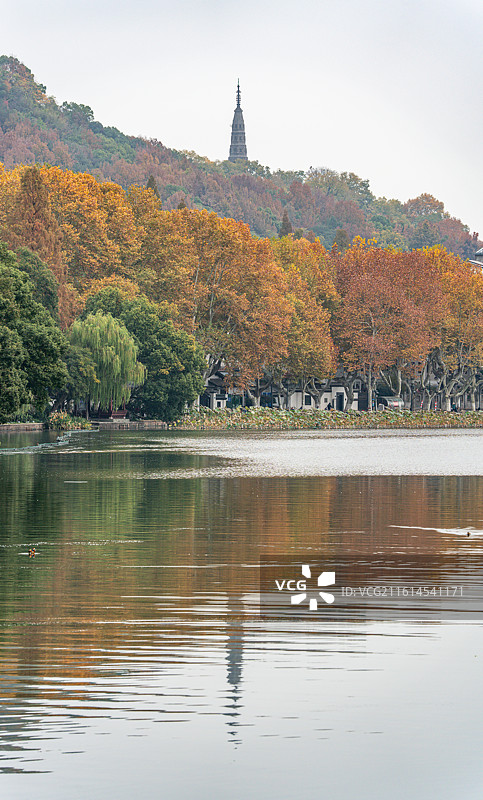 西泠桥看浙江杭州西湖宝石山保俶塔秋色倒影景观图片素材