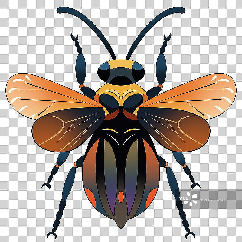 创意昆虫插画黑金橙甲虫艺术设计图片素材