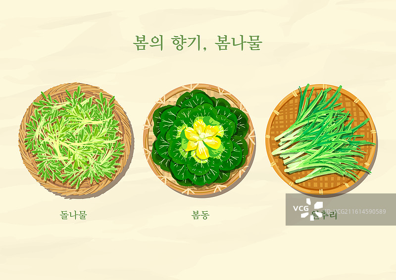 春季蔬菜，野菜，健康，有机，配菜，食材，景天，葱，紫锥菊图片素材