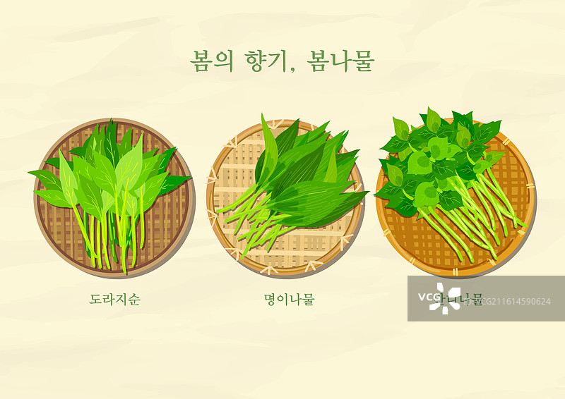 春季蔬菜、野菜、健康、有机、配菜、食材、野蒜图片素材