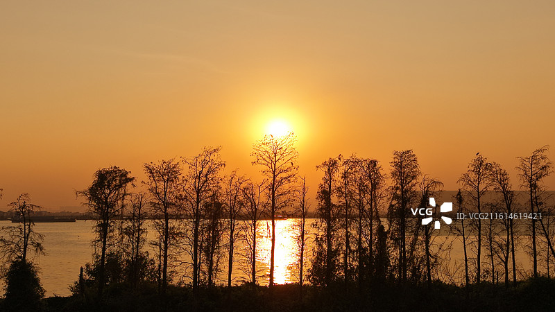 落日与白鹭图片素材