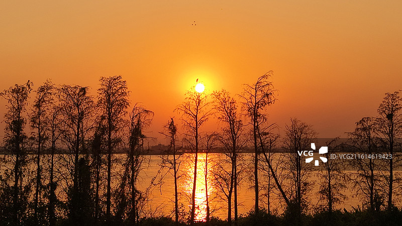 落日与白鹭图片素材