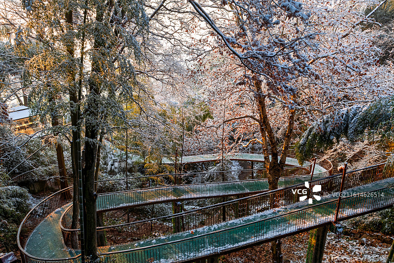 浙江省湖州市德清县莫干山风景区雪后步道日出图片素材
