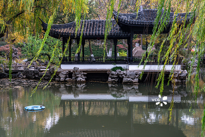 浙江嘉兴人民公园秋色自然景观图片素材
