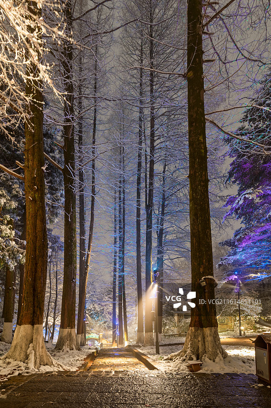浙江省湖州市德清县莫干山风景区芦花荡公园雪后夜景图片素材